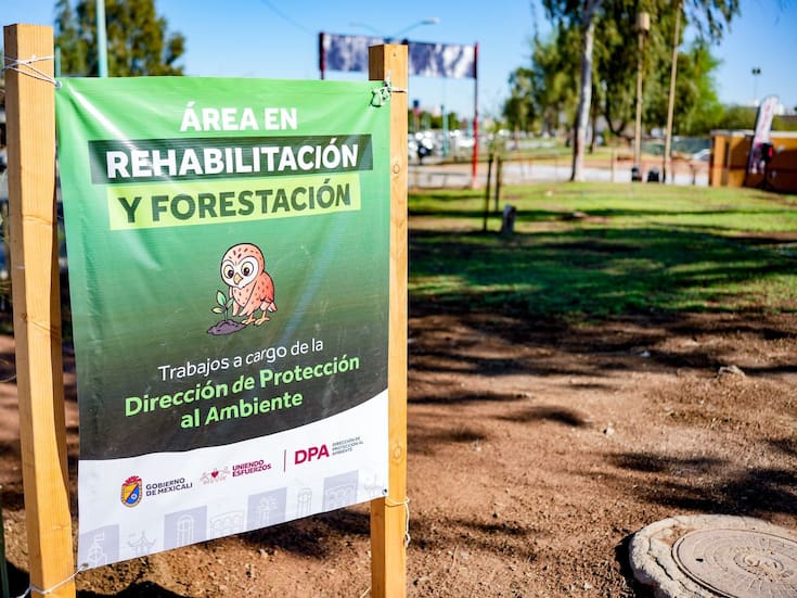 Plantarán más de mil árboles nativos en el Centro Cívico y López Mateos