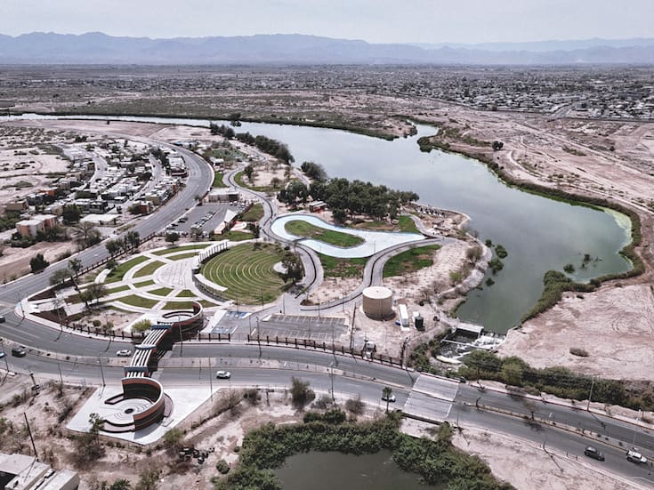 Son siete mil árboles plantados en Ecoparque Laguna México