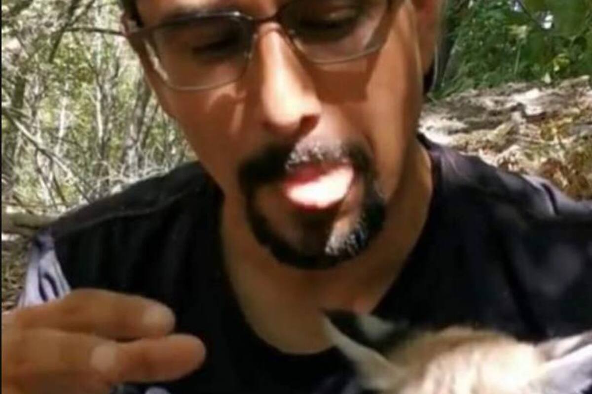 La Ranita de Nogales: Quién es y por qué los biólogos lo han cuestionan