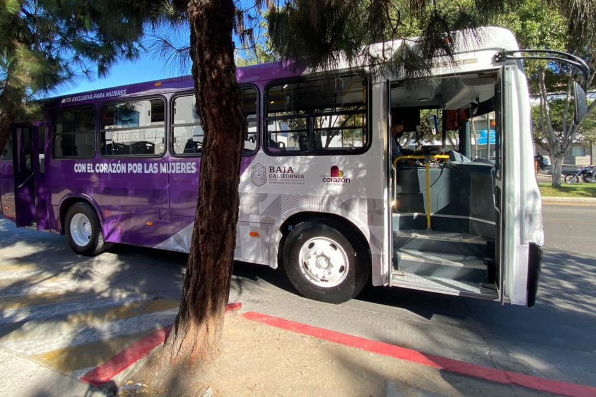 ‘Transporte violeta’, exclusivo para mujeres inicia en Tijuana