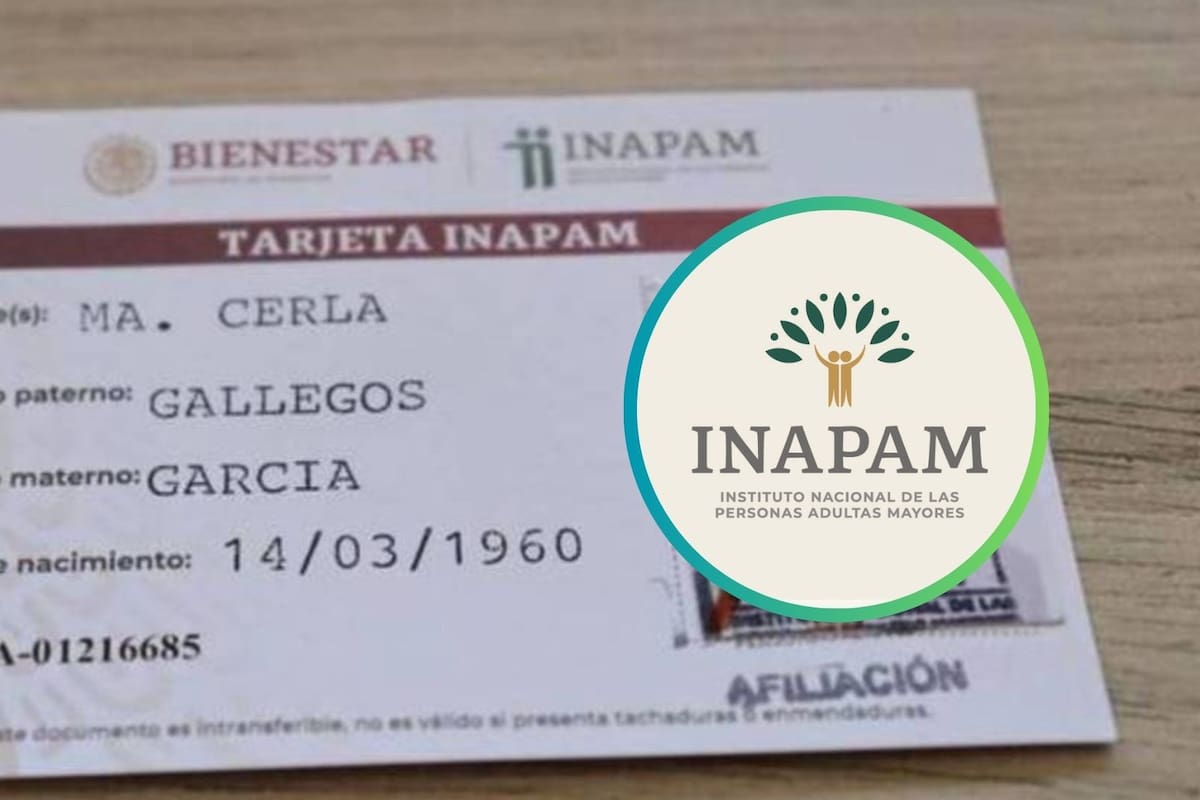 INAPAM ofrece descuento en trámite de licencia de conducir para adultos mayores beneficiarios