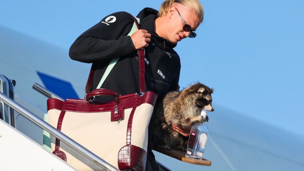 Critican a Erling Haaland por su colección de animales disecados