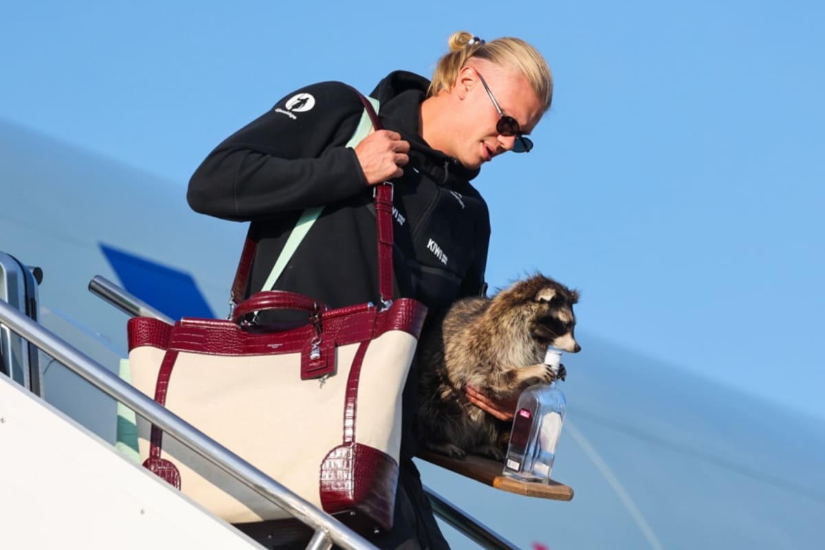 Critican a Erling Haaland por su colección de animales disecados