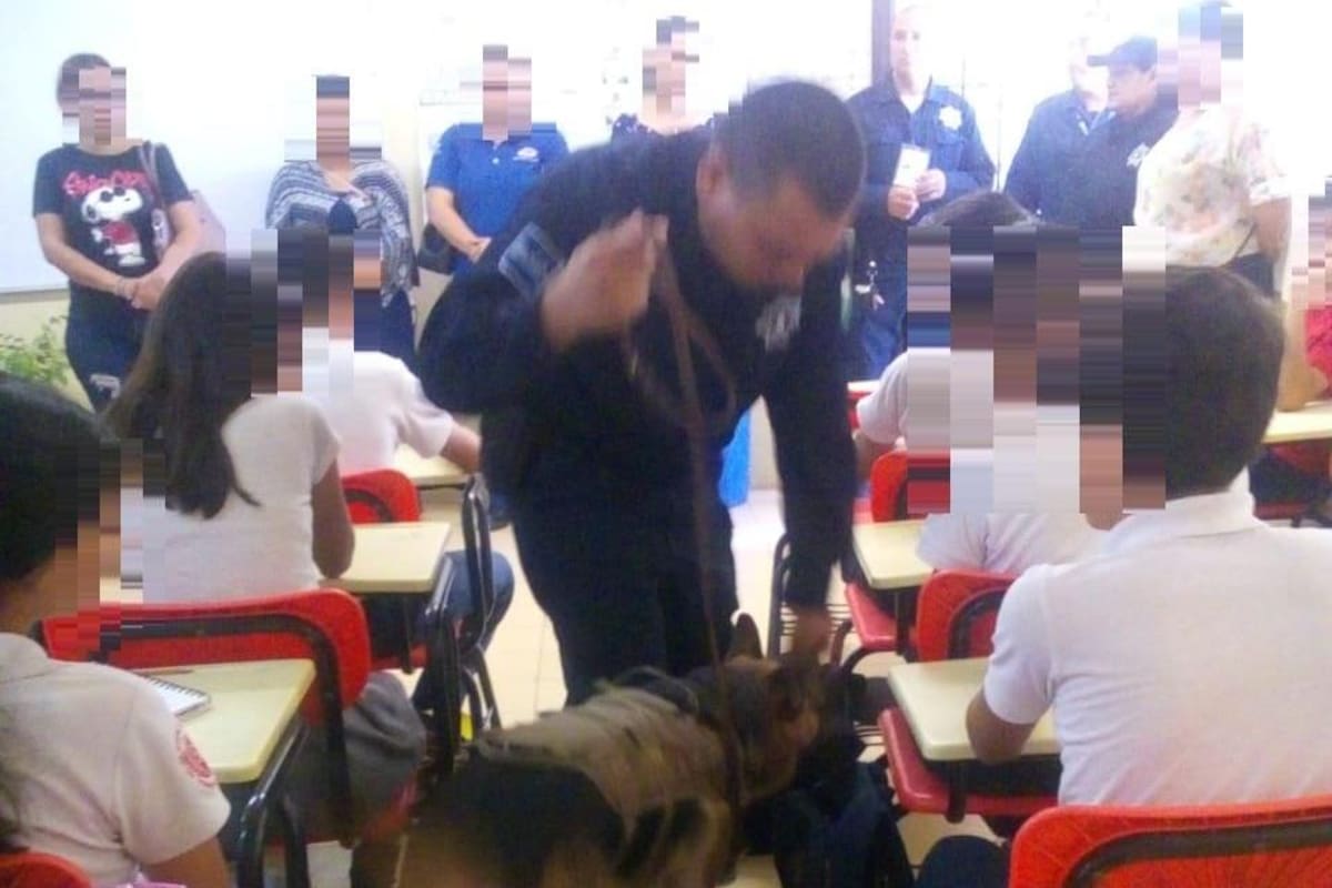 Hallan residuos de drogas en mochilas de estudiantes