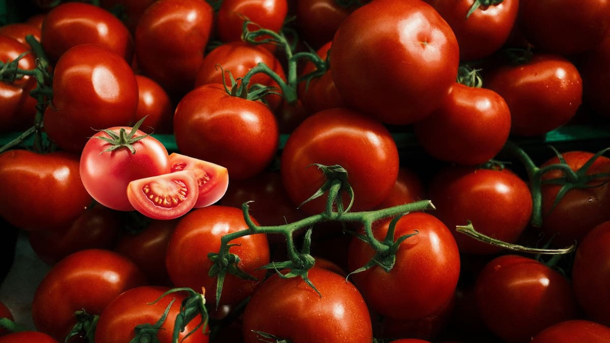 La brecha entre el precio en campo y al consumidor supera las tres veces, evidenciando fallas en la cadena de distribución de alimentos en México./Canva