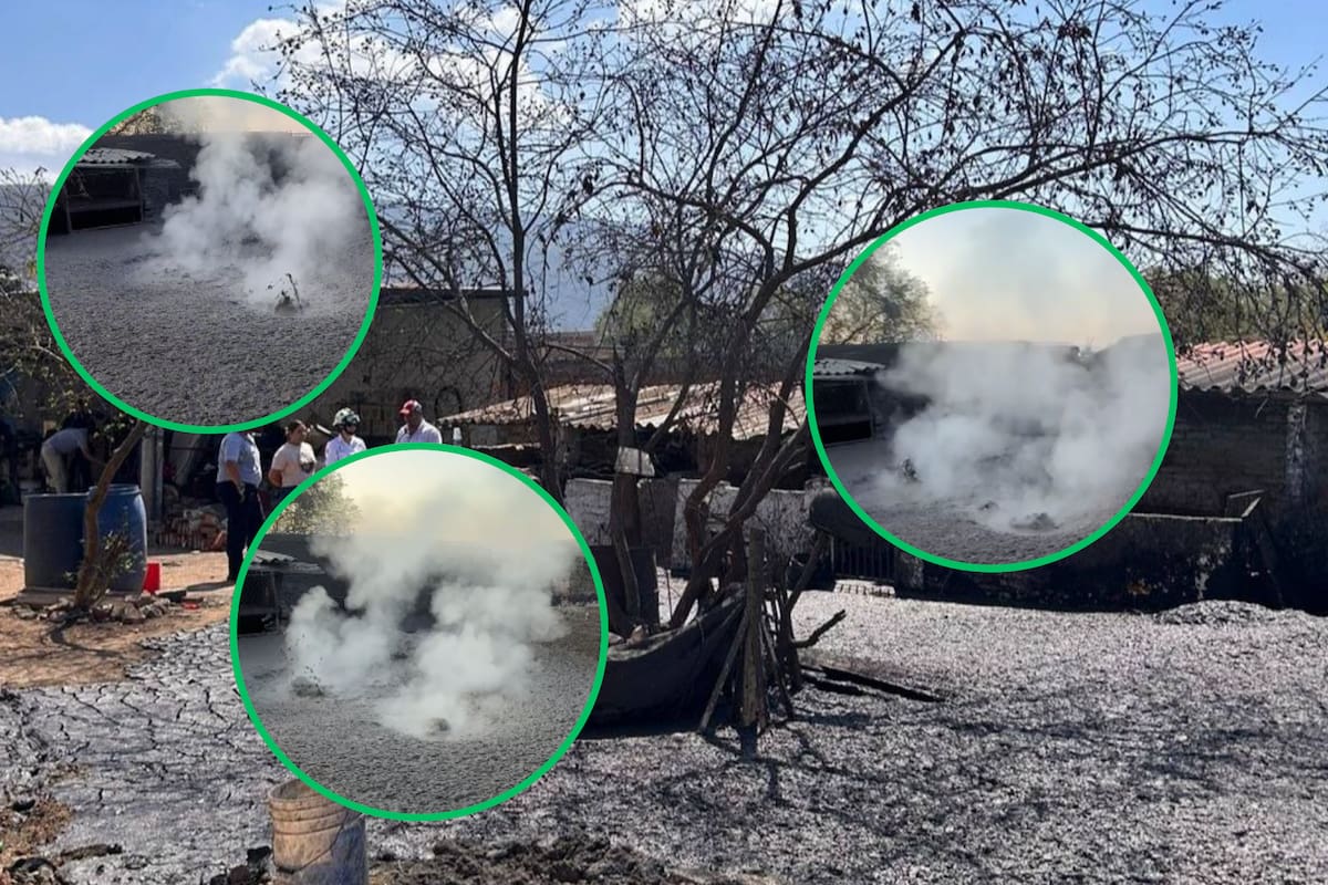 VIDEOS: Aparece un géiser en patio de vivienda en Michoacán; expulsó agua, lodo y vapor en comunidad de Ixtlán de los Hervores