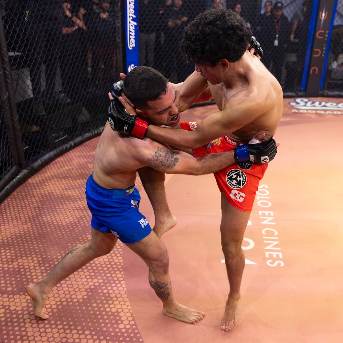 Foto: Scott Hirano/Combate Global