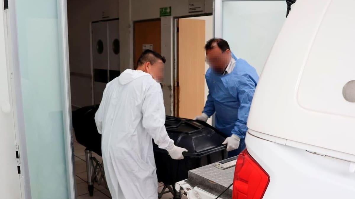 México amplía capacidad forense: Inmegen lanza proyecto de genética para restos óseos con financiamiento de Alemania y Noruega