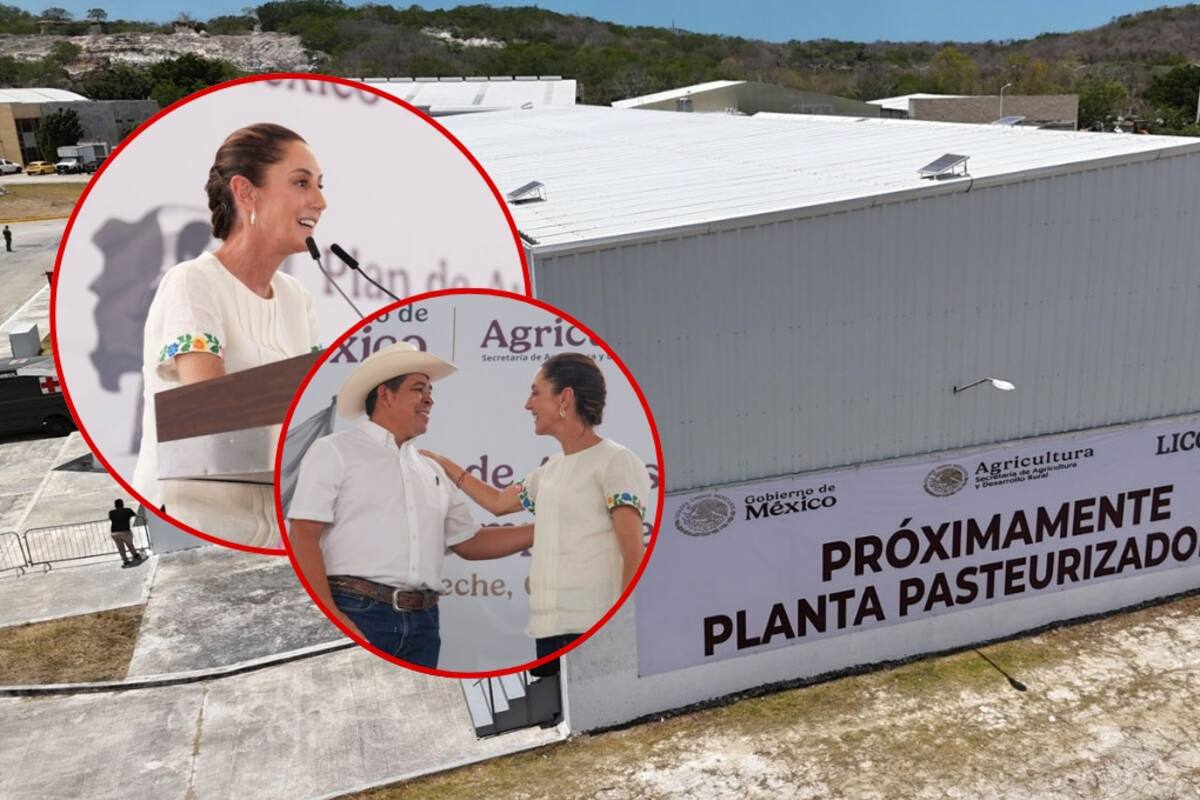 Claudia Sheinbaum garantiza precio de 11.50 pesos por litro de leche a pequeños y medianos productores con la construcción de una nueva planta pasteurizadora