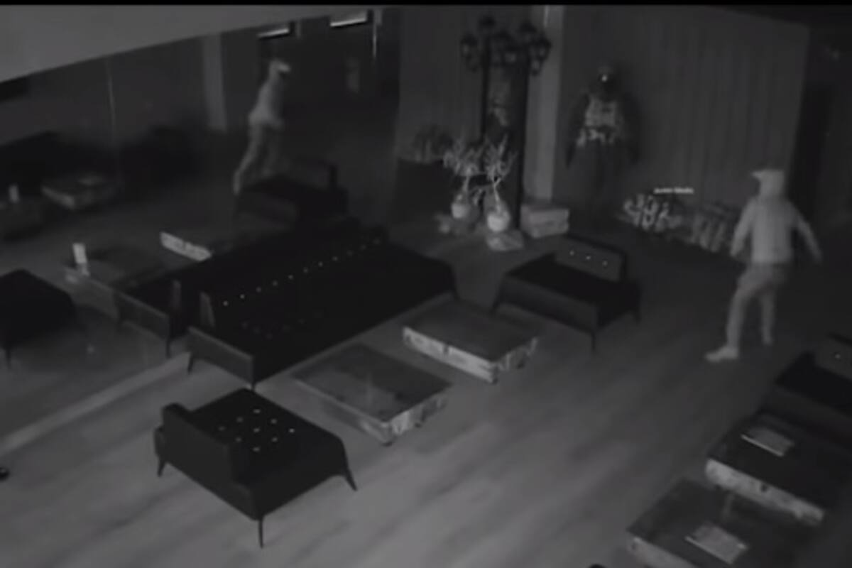 El reflejo en un espejo del propio ladrón frustró robo en un campo de tiro en Turquía