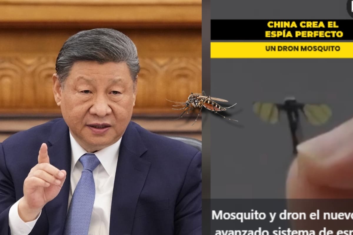 “Tiene la forma y el tamaño de un mosquito”: Así es el nuevo dron que presentó China para espionaje