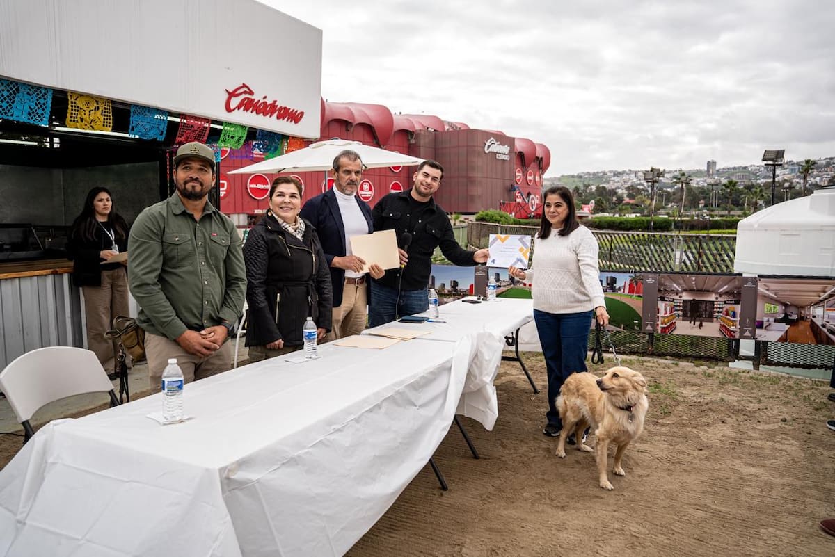 Tras un año de capacitación profesional, los caninos concluyeron el curso internacional “Perro Buen Ciudadano”, que los acredita como aptos para actividades educativas y de acompañamiento. Foto: Border Zoom