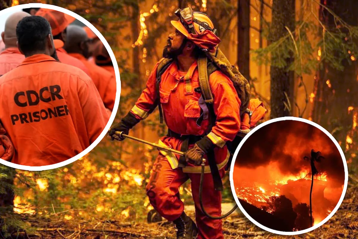 Bomberos de traje naranja: Jóvenes encarcelados trabajan en apagar incendios de California para “rehabilitarse”