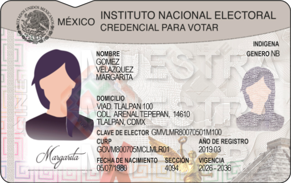 El nuevo modelo comenzó a producirse a nivel nacional desde el 1 de junio de 2026. | Foto: Especial/INE