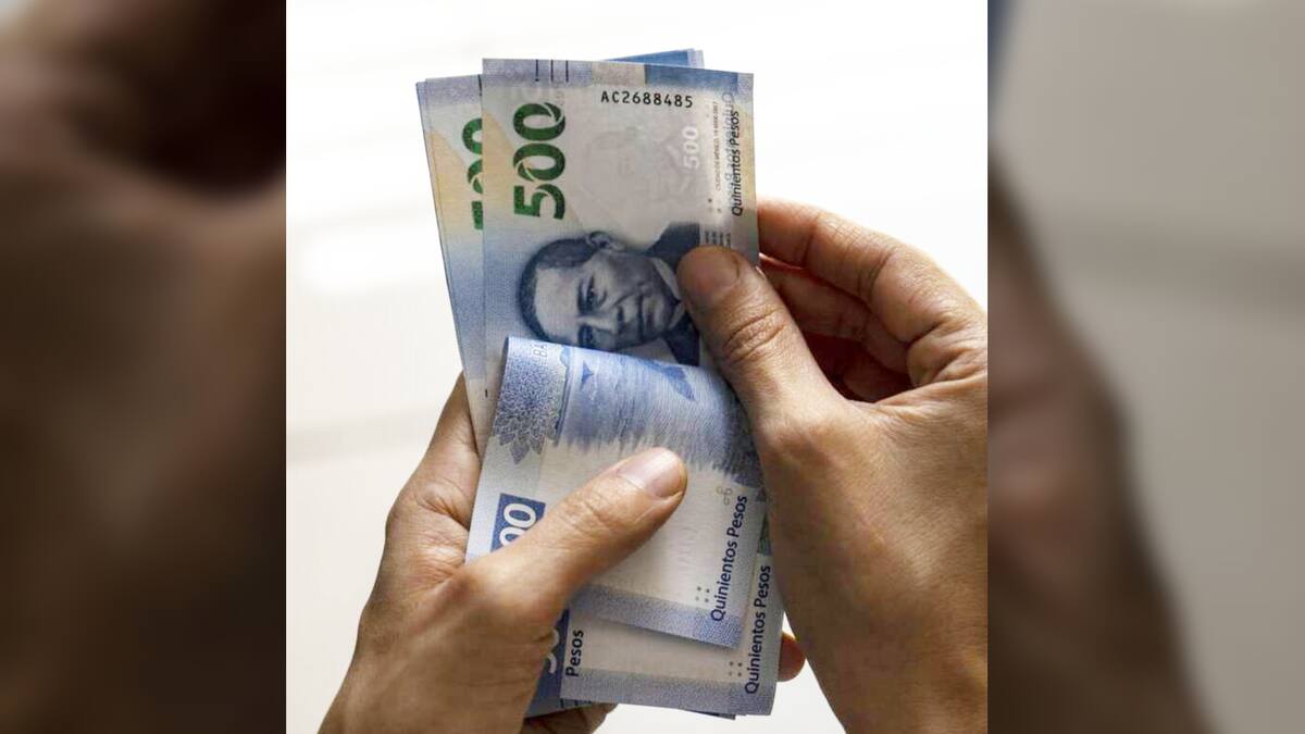 Qué debes hacer si tu empresa dice que no hay ganancias ante las utilidades.