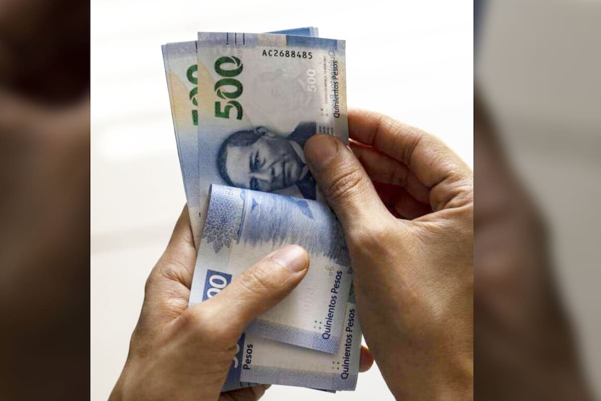 Utilidades 2024: ¿Qué pasa si mi empresa dice que no generaron?