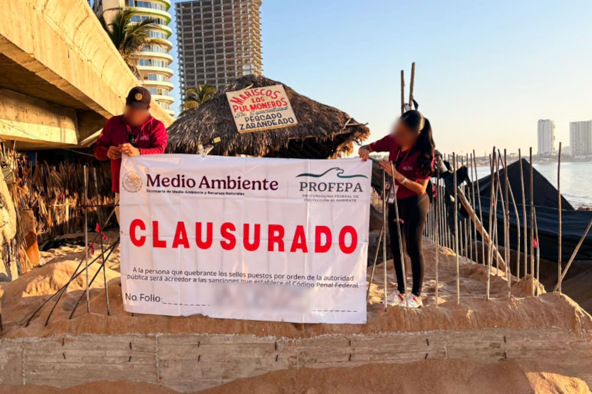 Profepa clausura obra en playa de Mazatlán: detectan muro de concreto y construcción mayor a lo autorizado