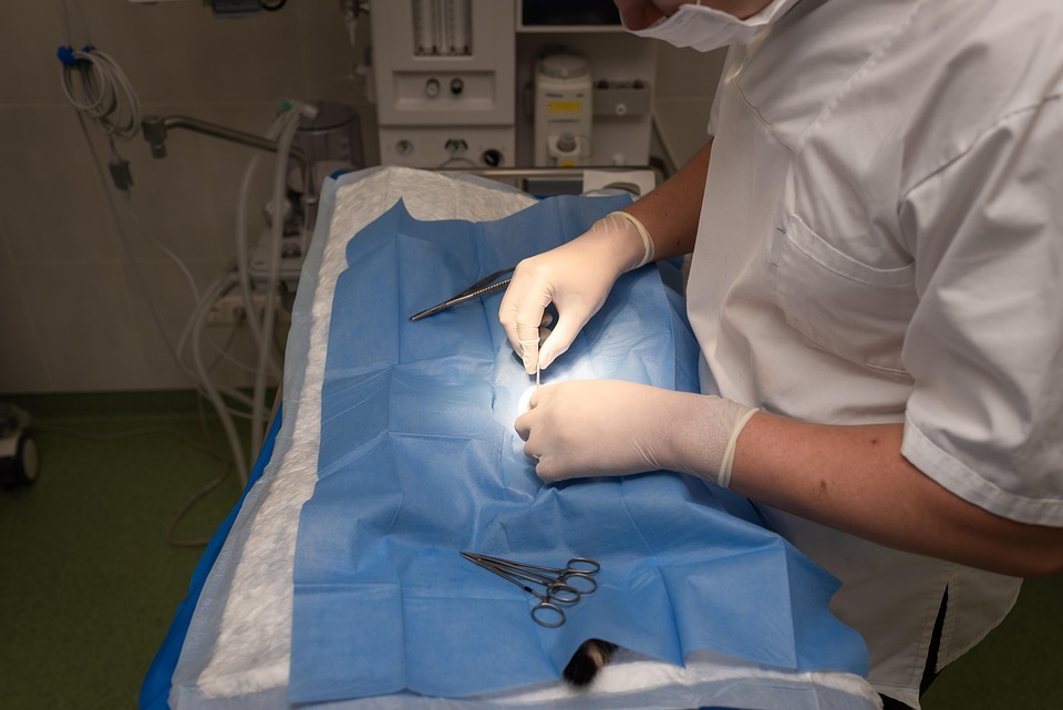 Veterinarios de Tijuana se unen a paro nacional para exigir justicia y seguridad