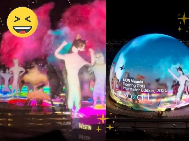 VIRAL: La apuesta más tierna de Las Vegas: millonario paga por gatitos bailando