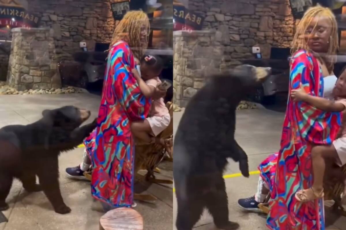 “El temor en sus ojos era real”: Mujer y su hija permanecen inmóviles mientras un oso irrumpe inesperadamente y ronda la tienda donde se encontraban