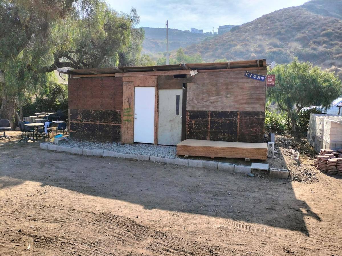 Los niños se ven obligados a tomar clases bajo la sombra de un árbol.