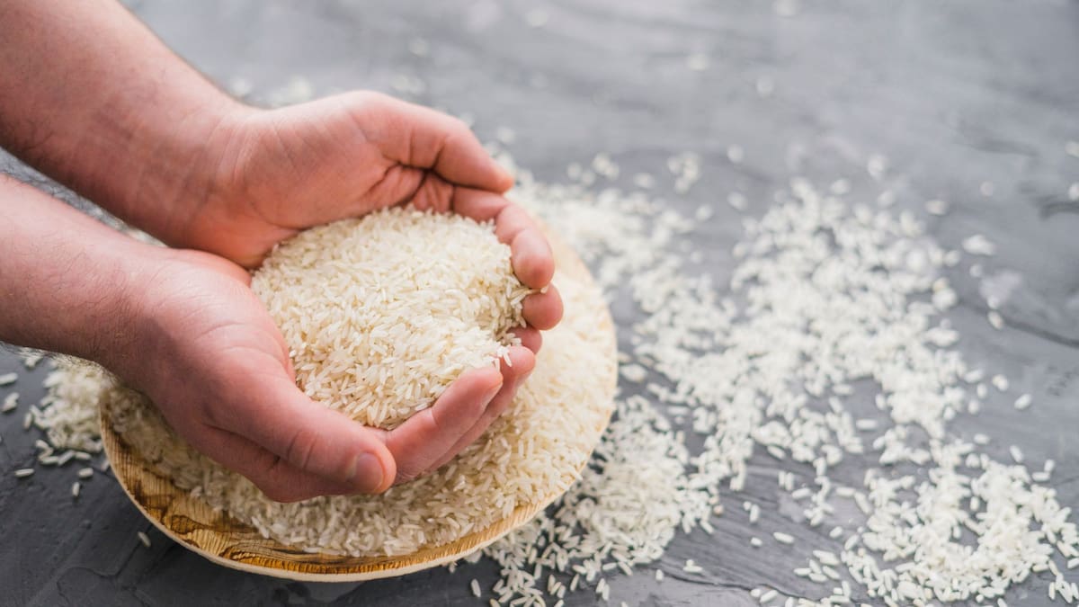 Por qué es importante lavar el arroz antes de cocinarlo y qué beneficios tiene | Foto: Especial (canva)