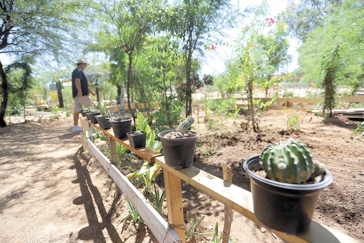 Cada rincón es aprovechado en este parque.