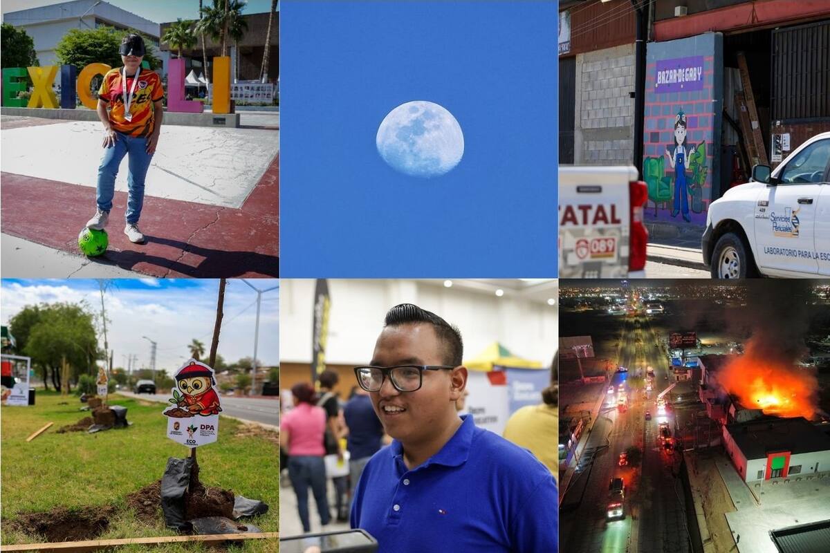Trabajo, niñez, fuego, maltrato animal y luna llena: la semana en imágenes