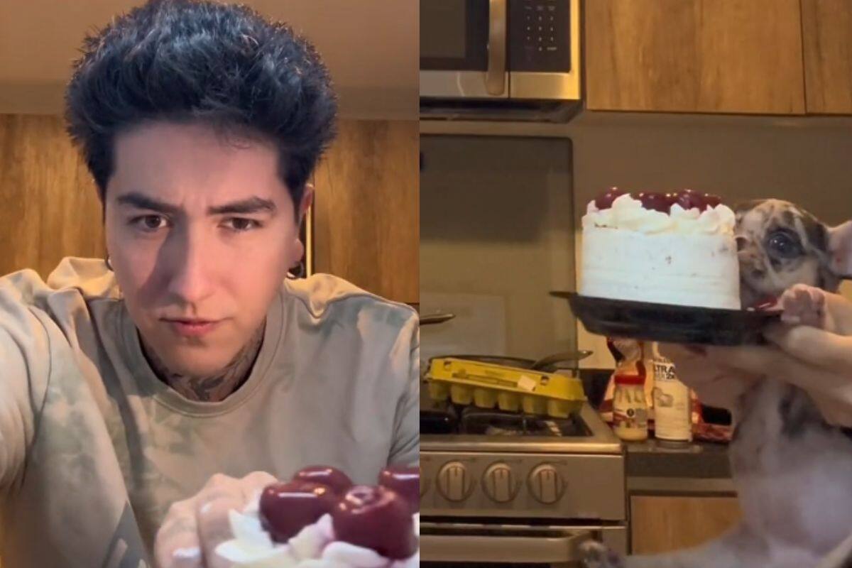 Pone una cámara en el refrigerador para ver quien come su pastel