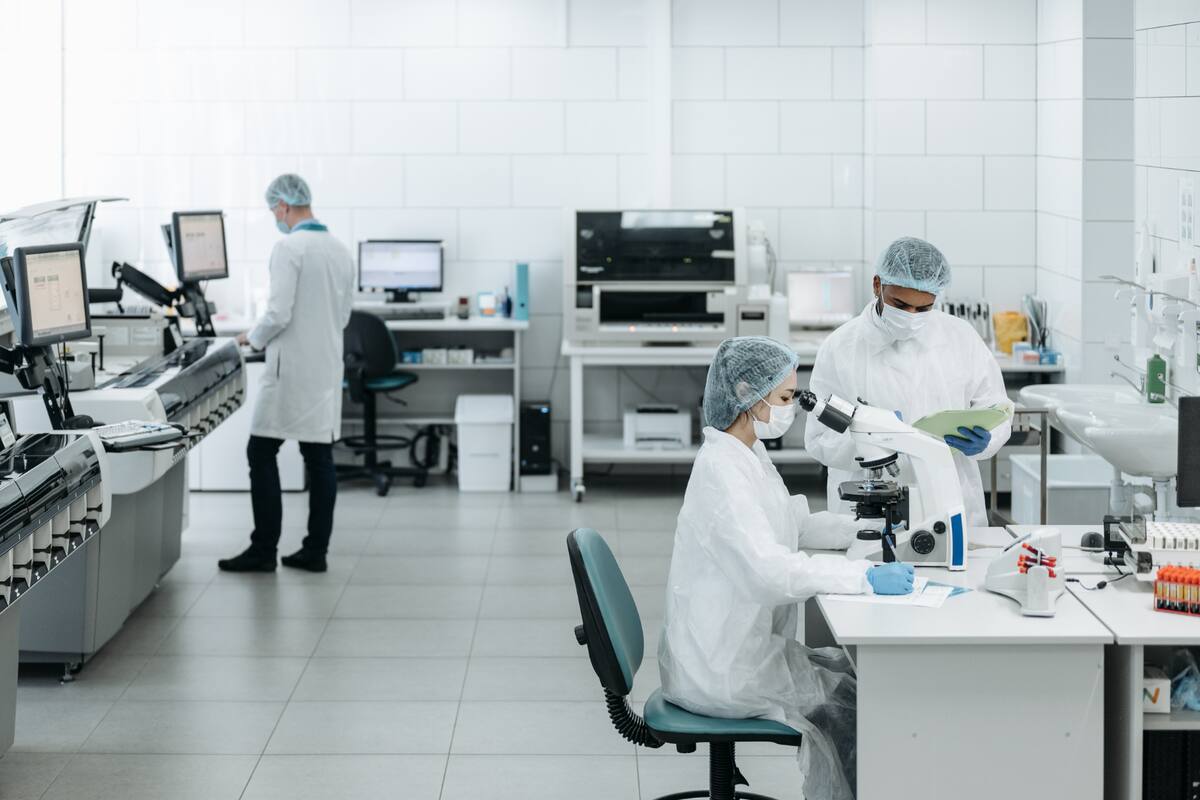 Científicos descubren cómo la salmonela resiste en el cuerpo humano:  “Siente” y aumenta su tolerancia a los antibióticos