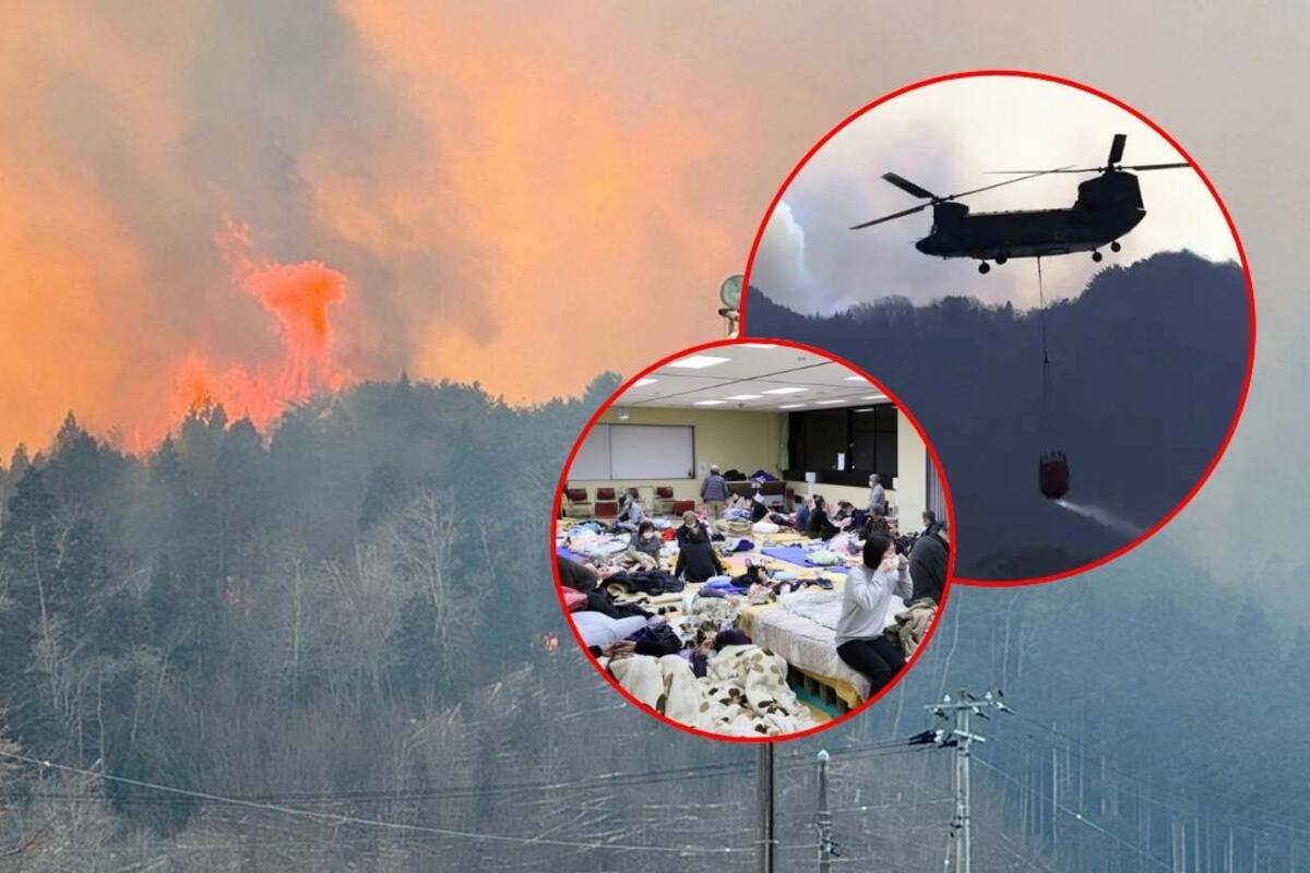 Japón enfrenta su peor incendio forestal en décadas con miles de personas evacuadas y una extensa destrucción