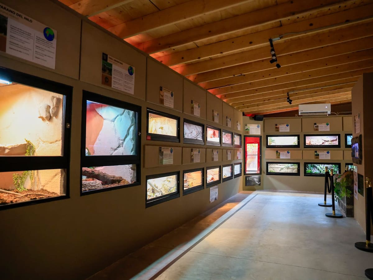 Foto: Juan J. Morales