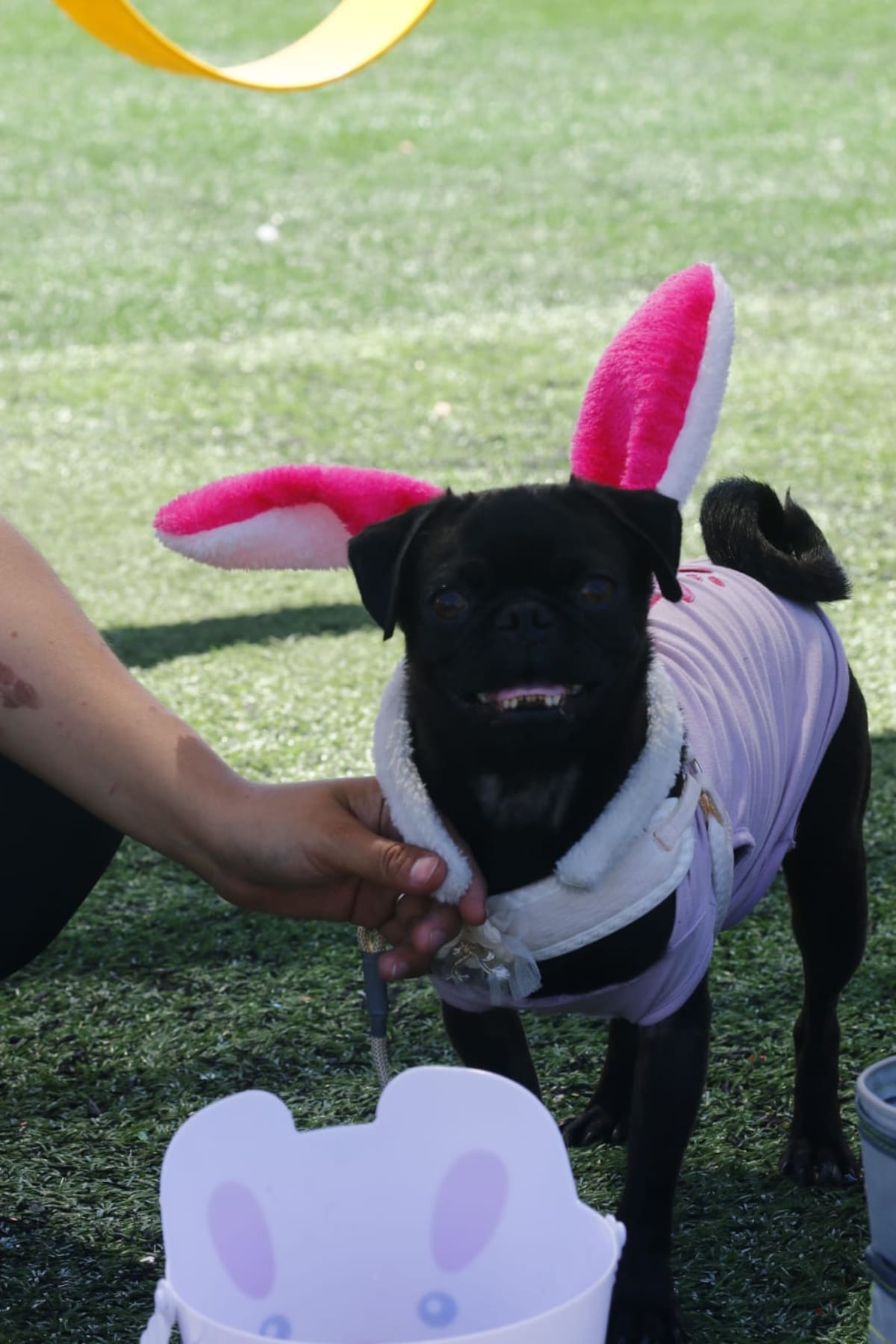 Foto: Saúl Martínez