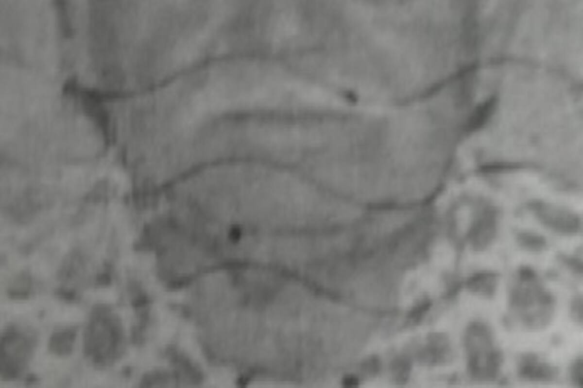 Se busca a Enrique Quijada Gómez de 90 años