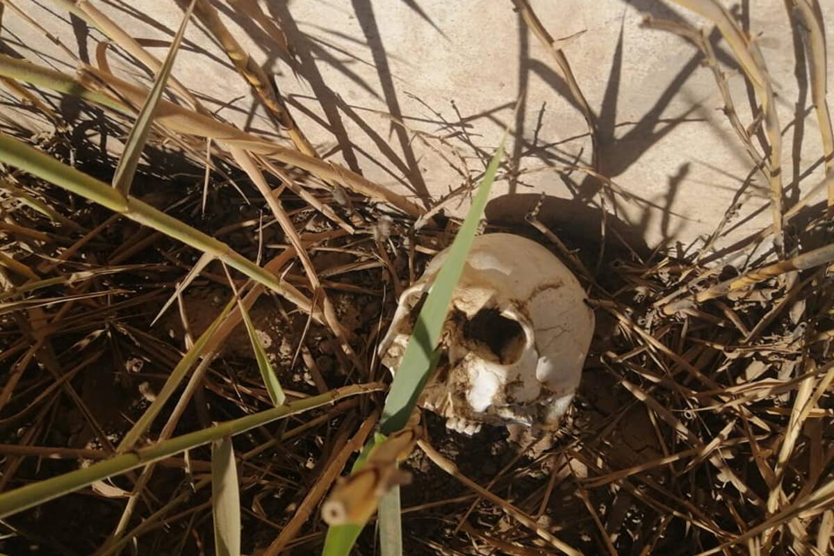 Buscadoras hallan osamenta tras denuncia anónima