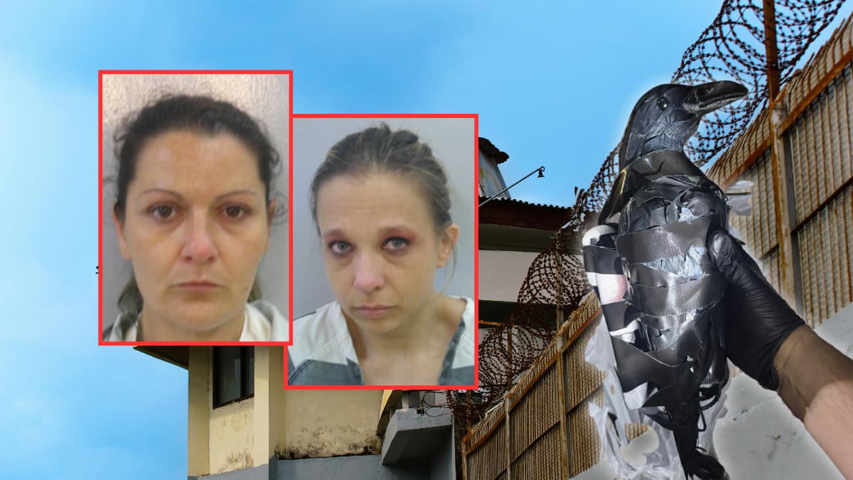 Mariguana, celulares y cigarros: Dos mujeres usan un dron disfrazado de cuervo para contrabandear artículos prohibidos a una cárcel de Estados Unidos