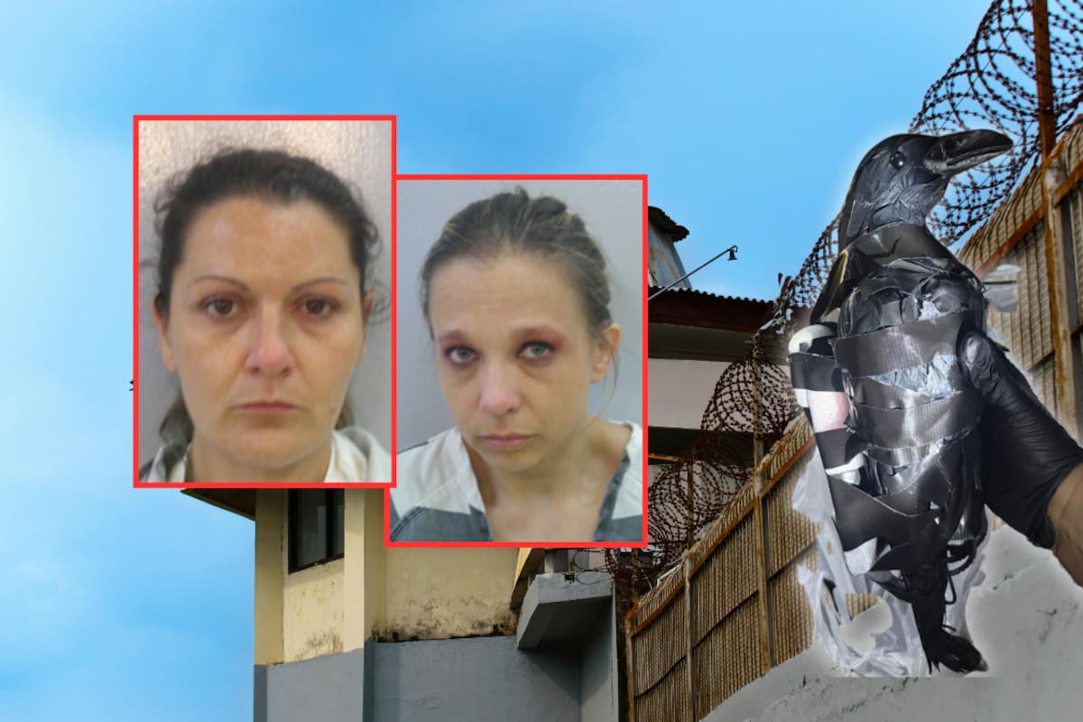 Mariguana, celulares y cigarros: Dos mujeres usan un dron disfrazado de cuervo para contrabandear artículos prohibidos a una cárcel de Estados Unidos