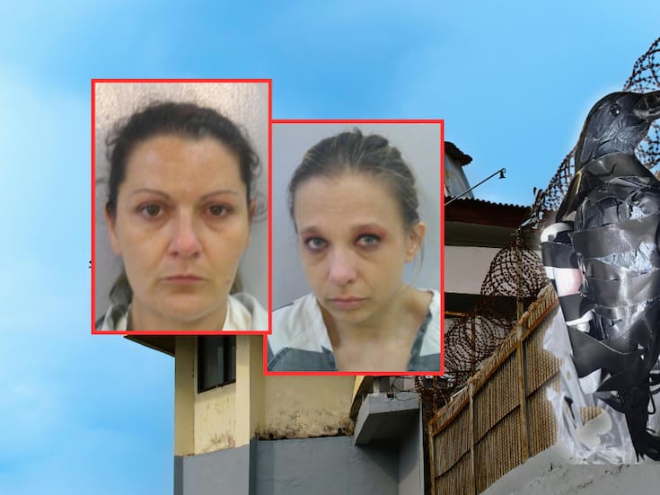 Mariguana, celulares y cigarros: Dos mujeres usan un dron disfrazado de cuervo para contrabandear artículos prohibidos a una cárcel de Estados Unidos