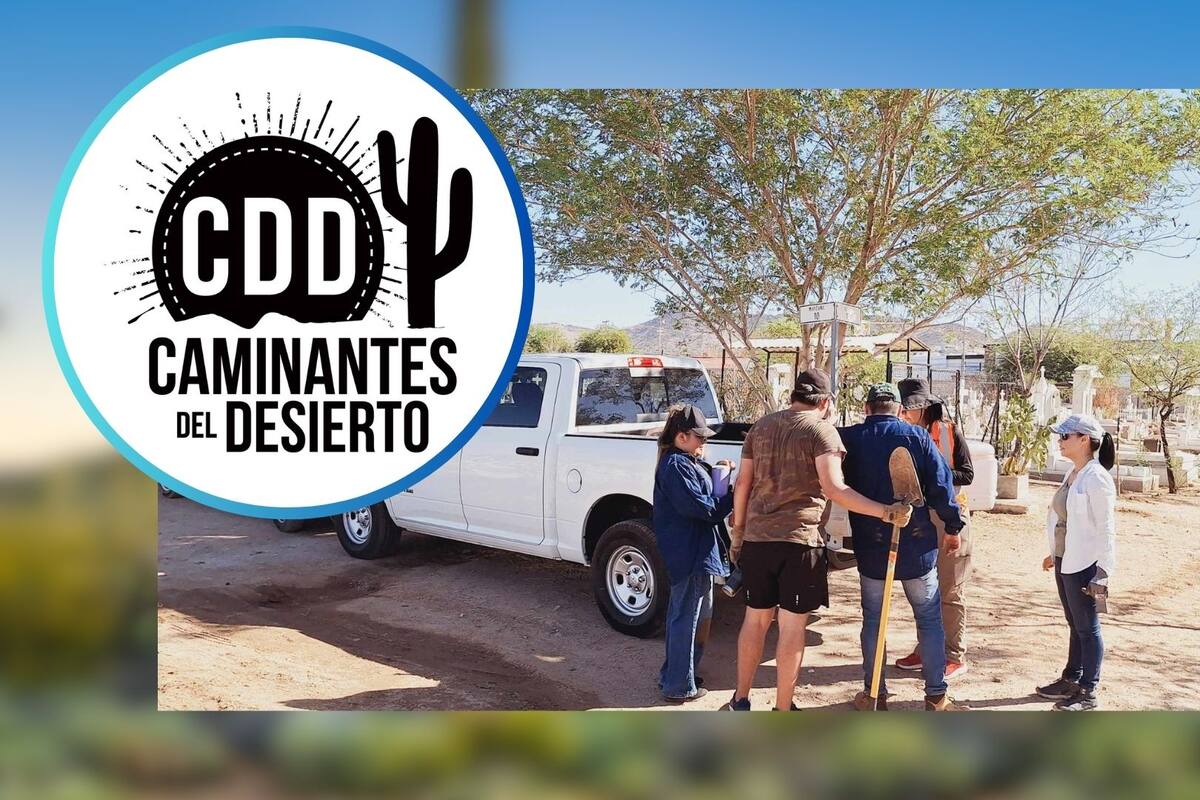 Caminantes del Desierto reforestan 500 árboles nativos