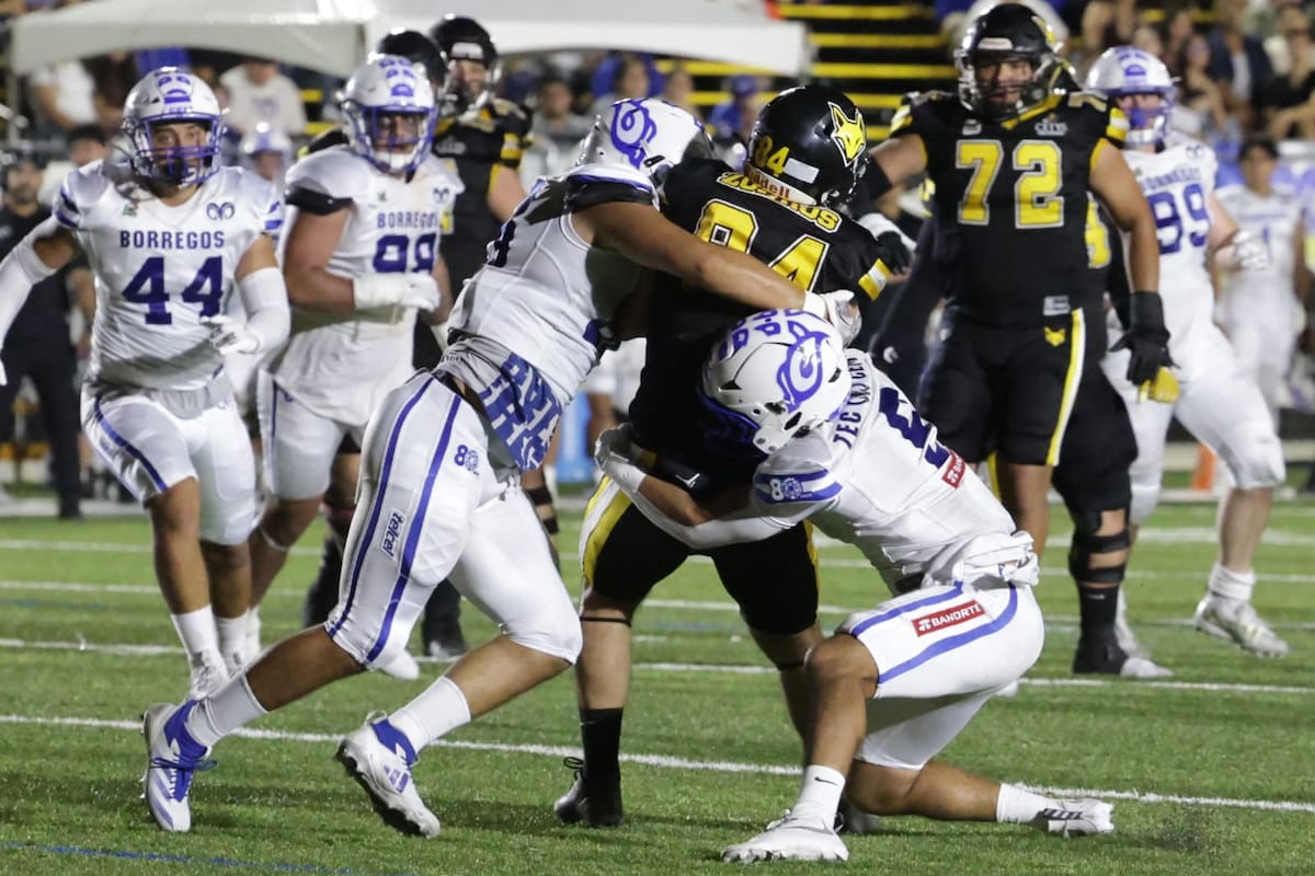 Zorros pierde en su debut de los 14 Grandes