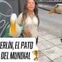Conoce a Merlín, el pato del Mundial: tiene 2 años y ya es toda una sensación