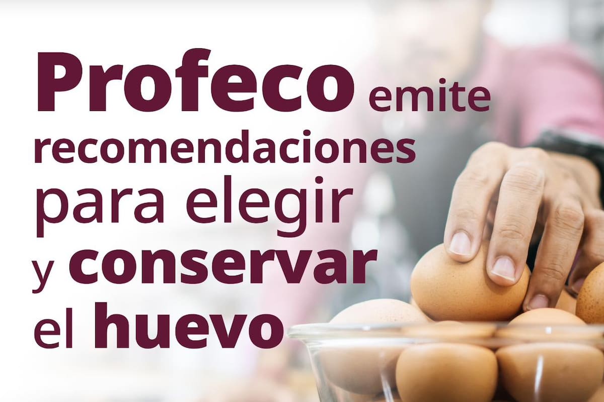 ¿Cómo conservar mejor el huevo? PROFECO emite recomendaciones