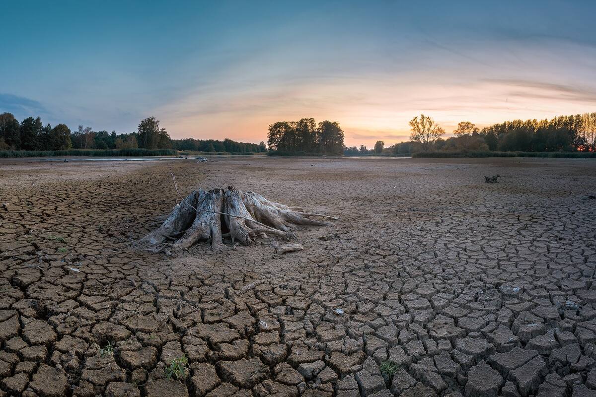 Sequía en México: ¿Por qué es alarmante el reporte de la NASA sobre agua en el País?