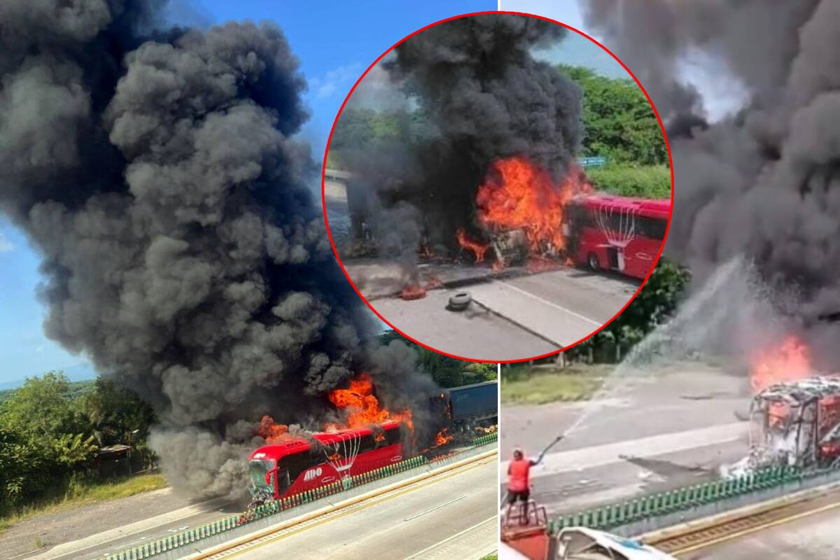 Autobús se incendia tras choque con tráiler en autopista de Veracruz; hay 14 heridos, reportan