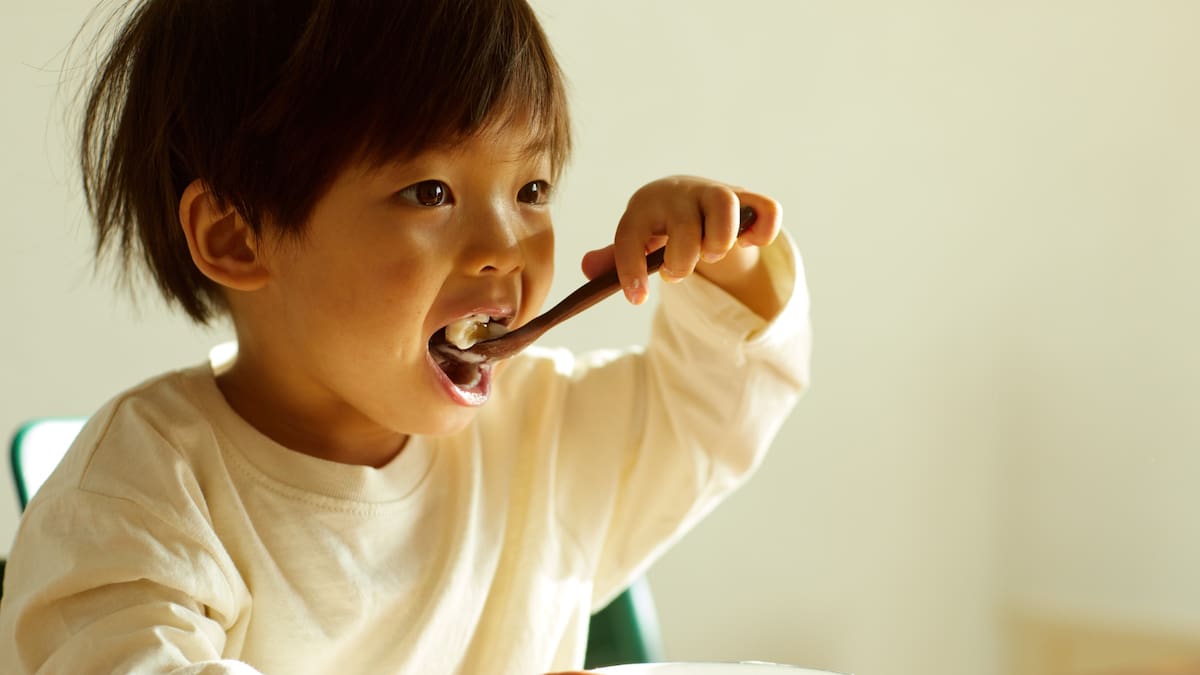 La primera etapa se caracteriza por un crecimiento rápido del tamaño del cerebro.