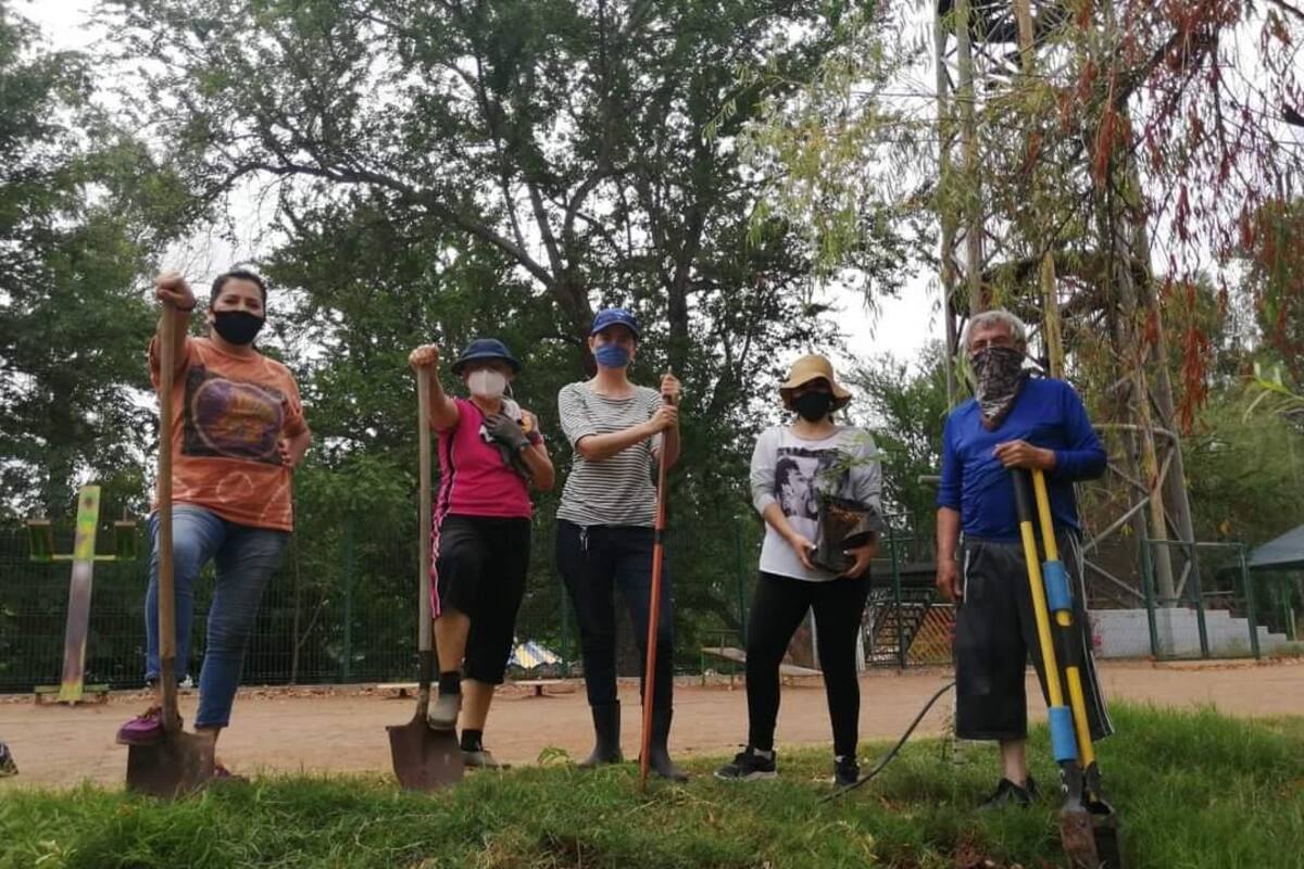 Construyen “Jardín de las Mariposas”