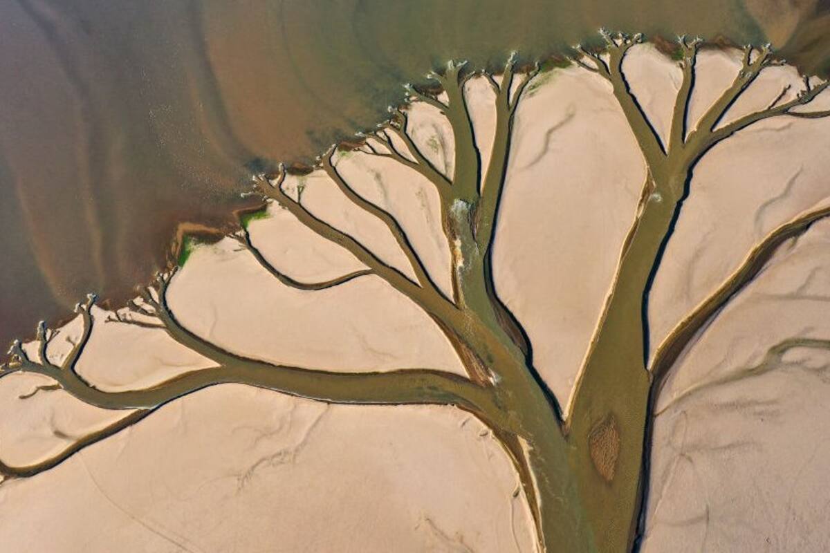 La histórica sequía que sufre el río Yangtsé en China (y cómo afecta a la economía global)