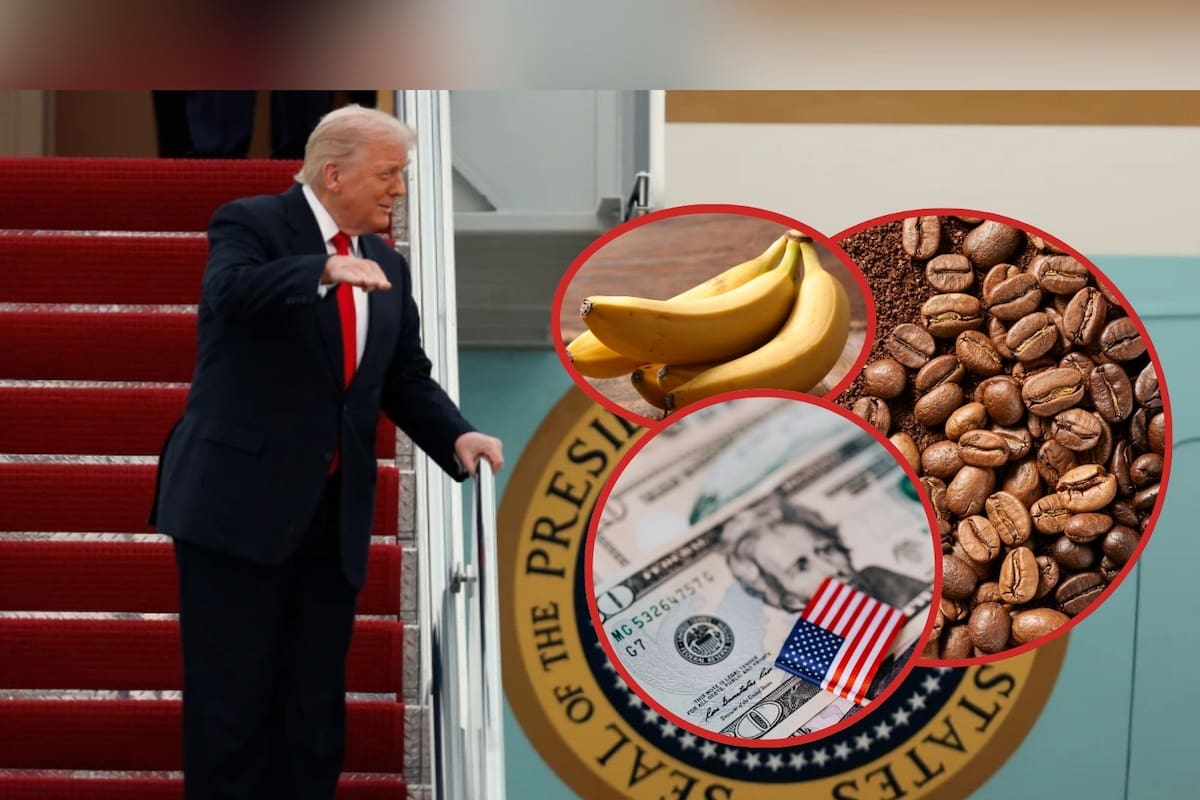 Ante la fuerte crisis económica en EEUU, Donald Trump “alivia” aranceles a cuatro países para disminuir precios de los plátanos, café, cacao y más alimentos tras el encarecimiento generado por sus propias políticas arancelarias