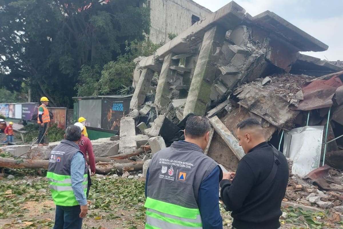 ¿Qué sucedió en el Viaducto Miguel Alemán de la CDMX? Colapso de edificio en demolición provoca el cierre de carriles y la caída de un árbol de 20 metros de altura