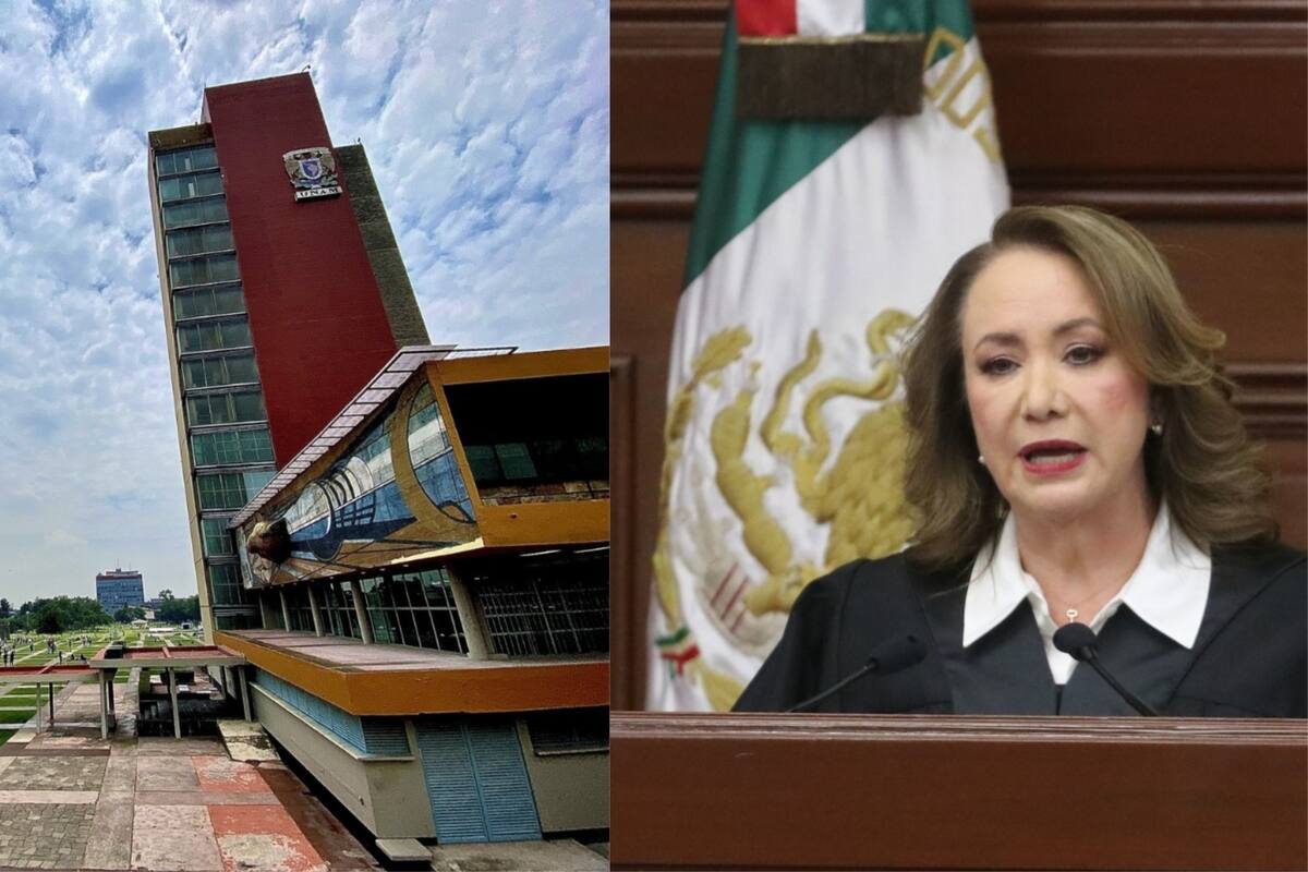 Yasmín Esquivel: ¿Cómo castiga el plagio de una tesis la UNAM?